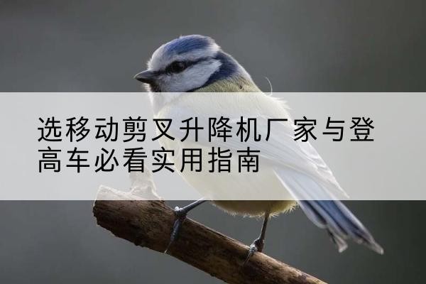 雨湖电动升降机厂家-选移动剪叉升降机厂家与登高车必看实用指南