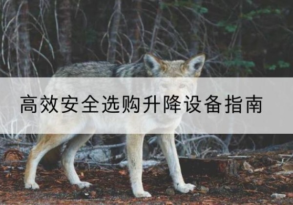 雨湖升降货梯厂家推荐-*安全选购升降设备指南