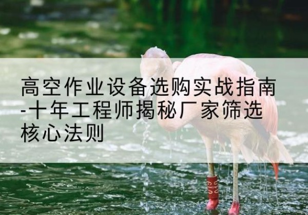 雨湖剪叉式升降机厂家-高空作业设备选购实战指南-十年工程师揭秘厂家筛选核心法则